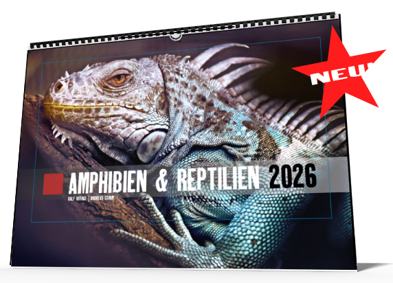 Wandkalender 2026